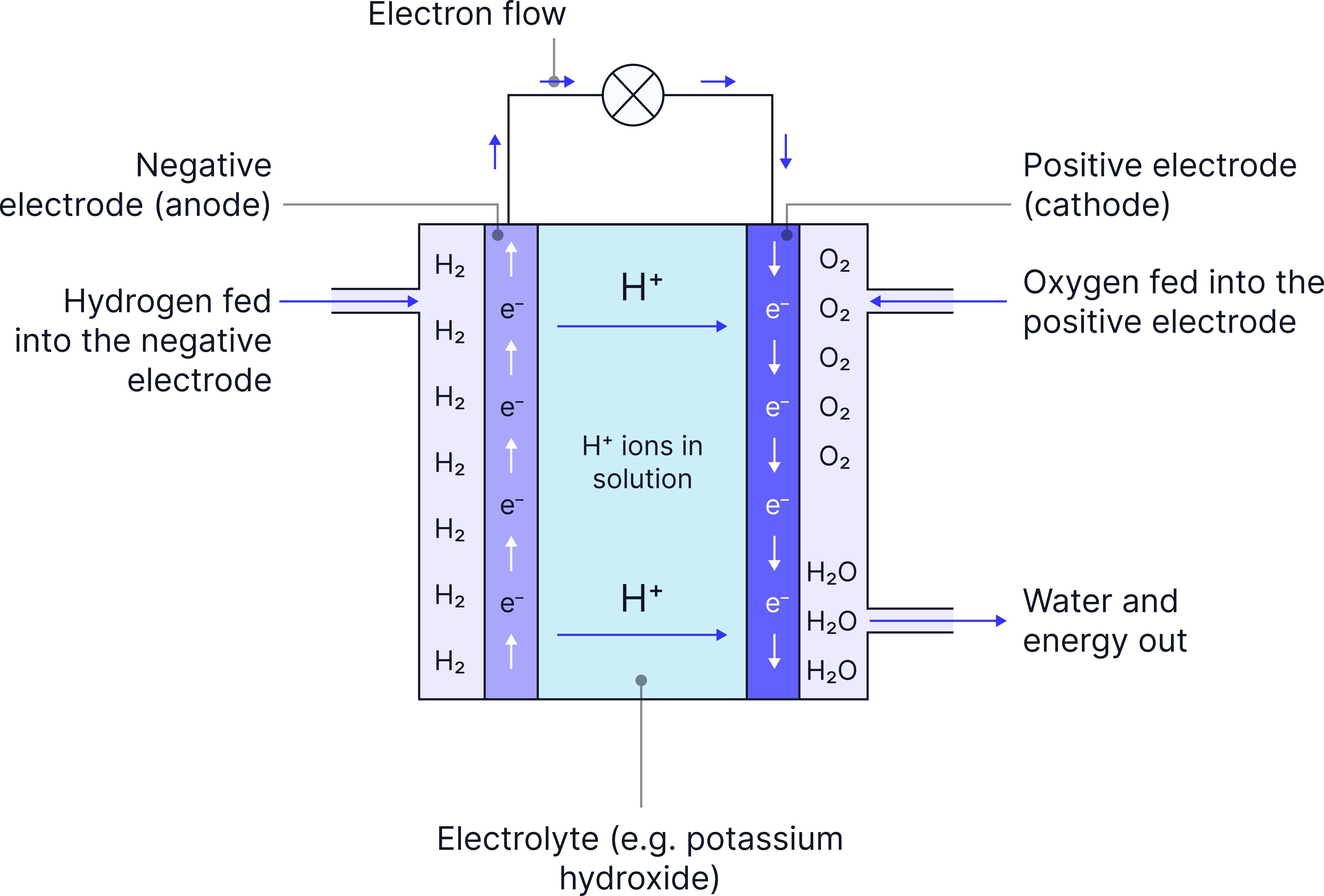 Diagram of a hydrogen&ndash;oxygen fuel cell showing hydrogen entering the anode, oxygen entering the cathode, electron flow through an external circuit, and water production in the electrolyte.